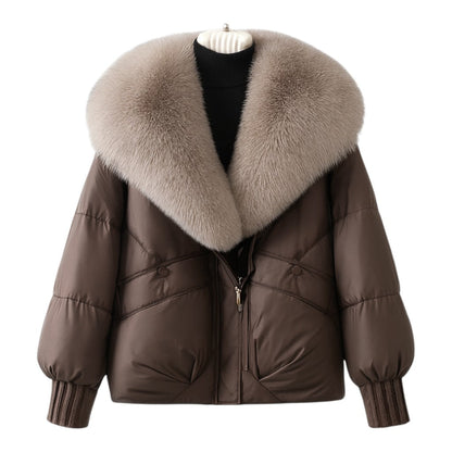 Structured puffer jacket for women | Elara -2
