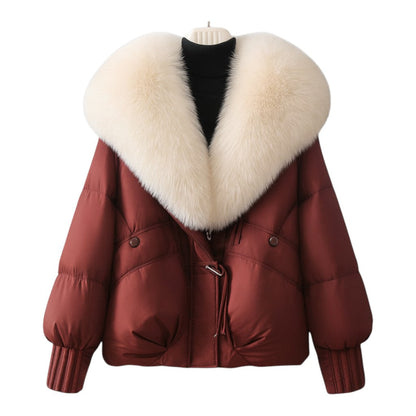 Structured puffer jacket for women | Elara -1
