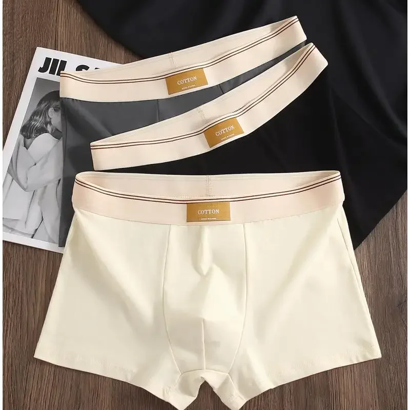 Soft cotton everyday boxer set for men | Cotton Theory -2