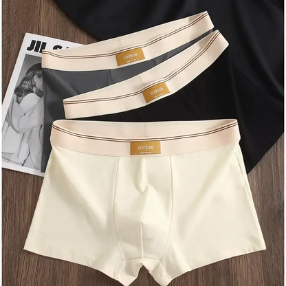 Soft cotton everyday boxer set for men | Cotton Theory -2