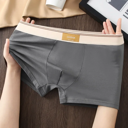 Soft cotton everyday boxer set for men | Cotton Theory -3