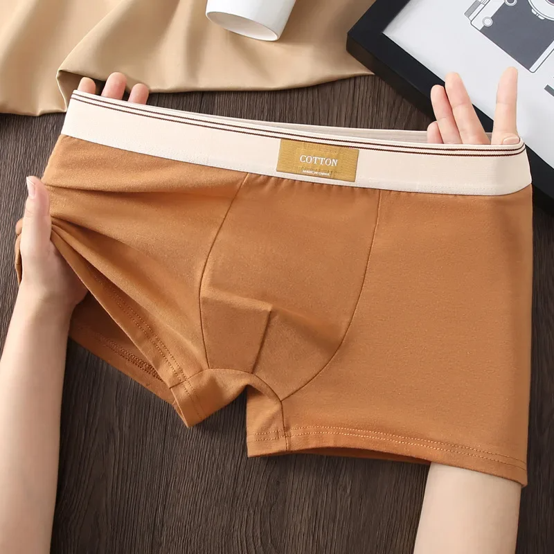 Soft cotton everyday boxer set for men | Cotton Theory -4
