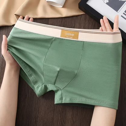 Soft cotton everyday boxer set for men | Cotton Theory -5