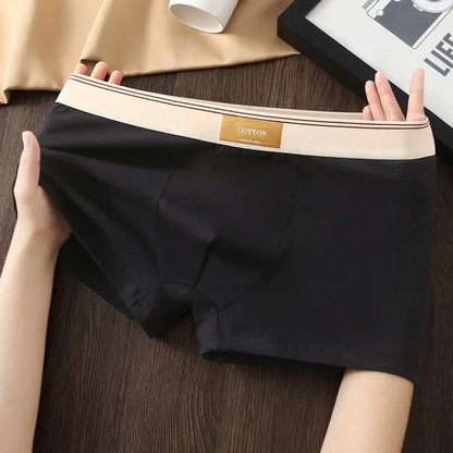 Soft cotton everyday boxer set for men | Cotton Theory -6